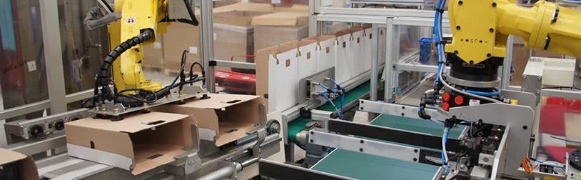 DS Smith Packaging System Machinery