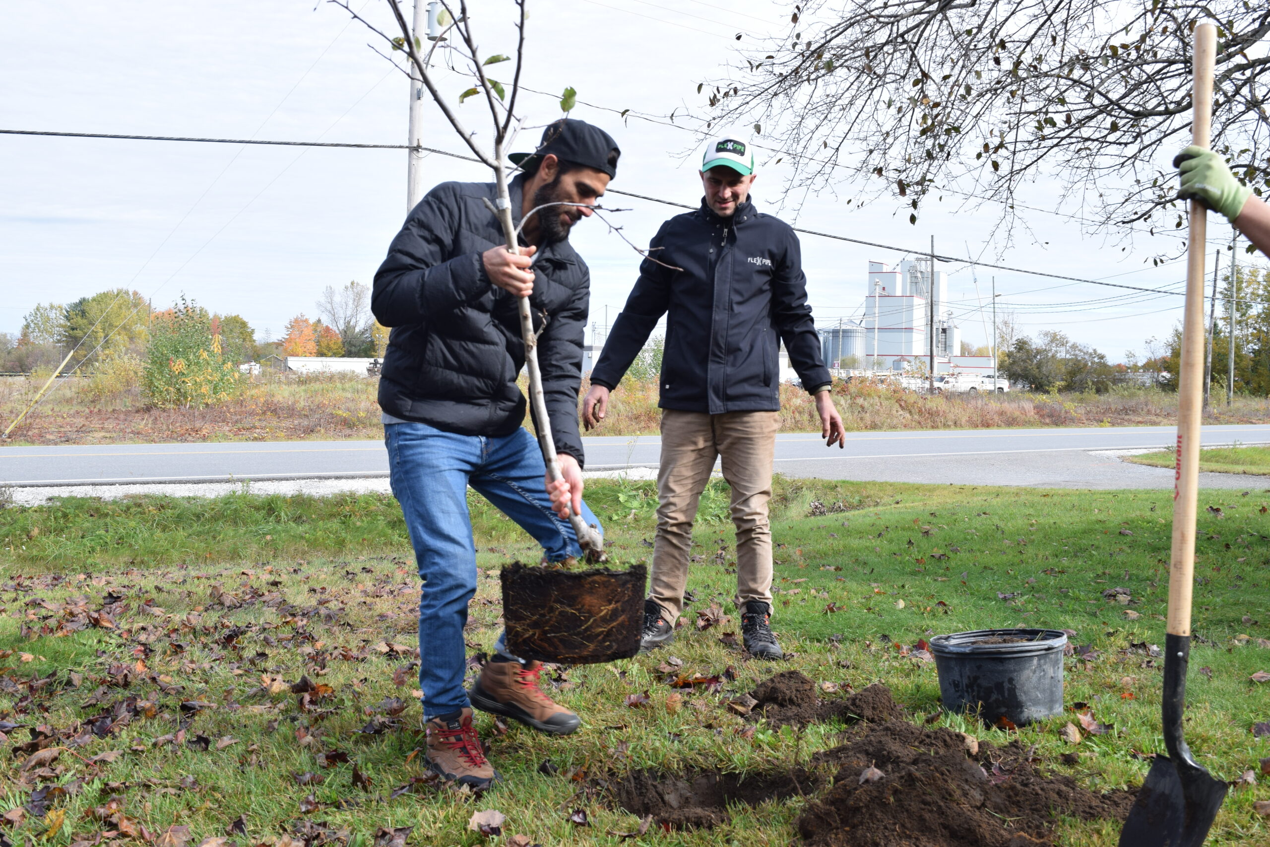 Plantation 5 arbres pour empreinte carbone