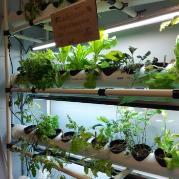 Aquaponics System